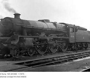 JAY1066