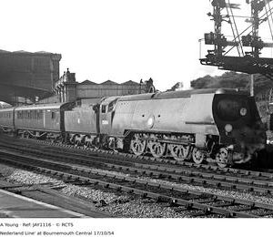 JAY1116
