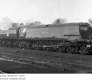 JAY1125