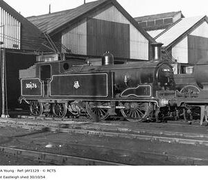 JAY1129