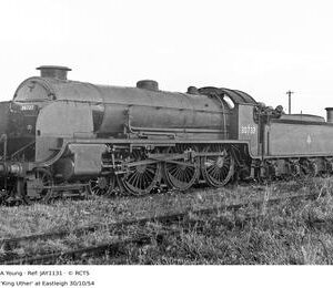 JAY1131