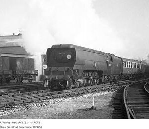 JAY1151