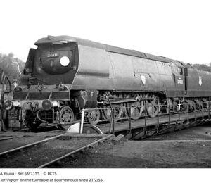 JAY1155