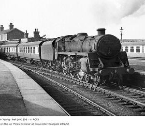 JAY1156