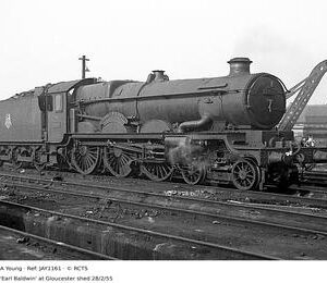 JAY1161