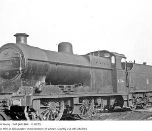 JAY1164