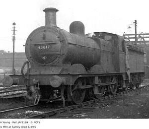 JAY1169