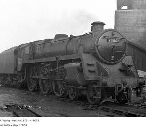 JAY1173