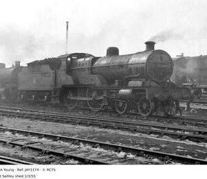 JAY1174