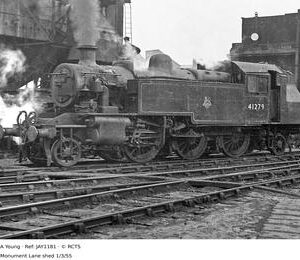 JAY1181