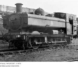 JAY1187