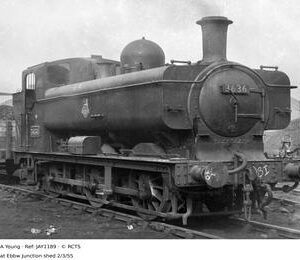 JAY1189