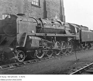 JAY1191