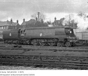 JAY1216