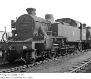 JAY1225