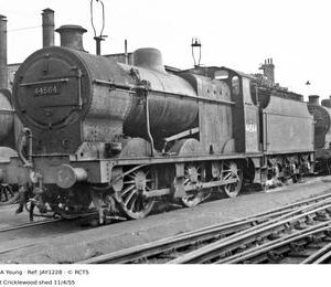 JAY1228