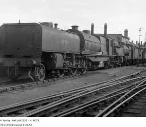 JAY1229