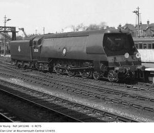 JAY1246