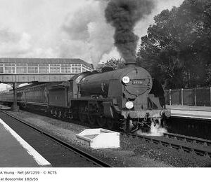 JAY1259