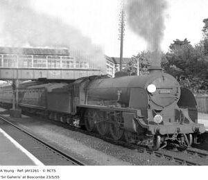 JAY1261