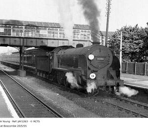 JAY1263