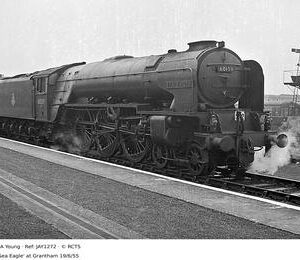JAY1272