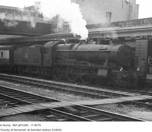 JAY1281