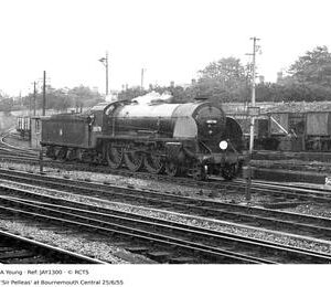JAY1300