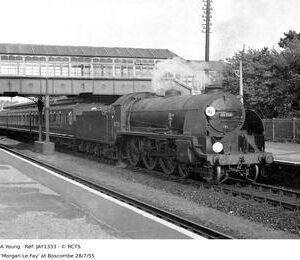 JAY1333