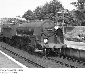 JAY1339
