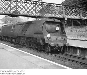 JAY1340
