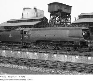 JAY1344
