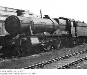 JAY1346