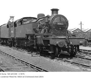 JAY1348