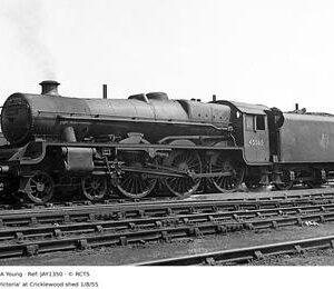 JAY1350