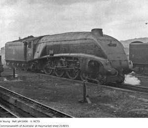 JAY1406