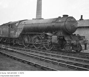 JAY1409