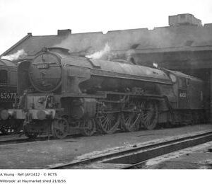 JAY1412