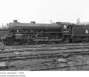 JAY1427