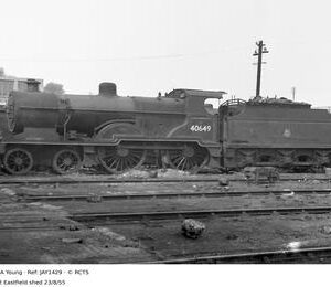 JAY1429