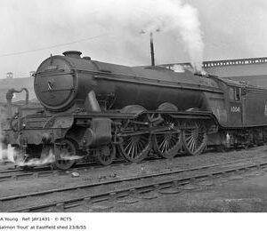 JAY1431