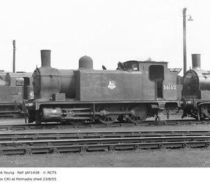 JAY1438