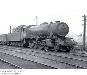 JAY1442