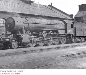 JAY1446