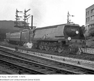 JAY1508