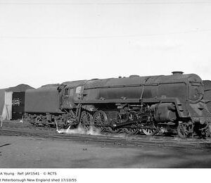 JAY1541