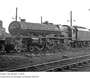JAY1564