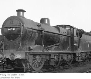 JAY1677