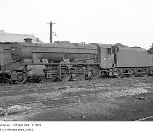 JAY1679