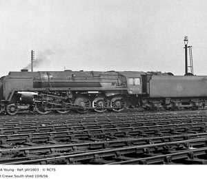 JAY1803